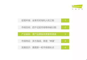 2019年中國(guó)教育信息化行業(yè)報(bào)告 信息技術(shù)咨詢服務(wù)的現(xiàn)狀與發(fā)展